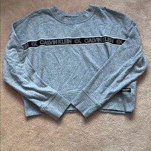 Calvin Klein Gray Boxy Crop Sweatshirt